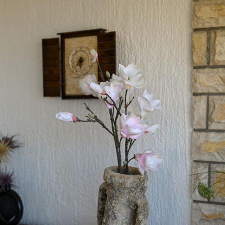 Apartment Spira Puovica 特罗吉尔 外观 照片
